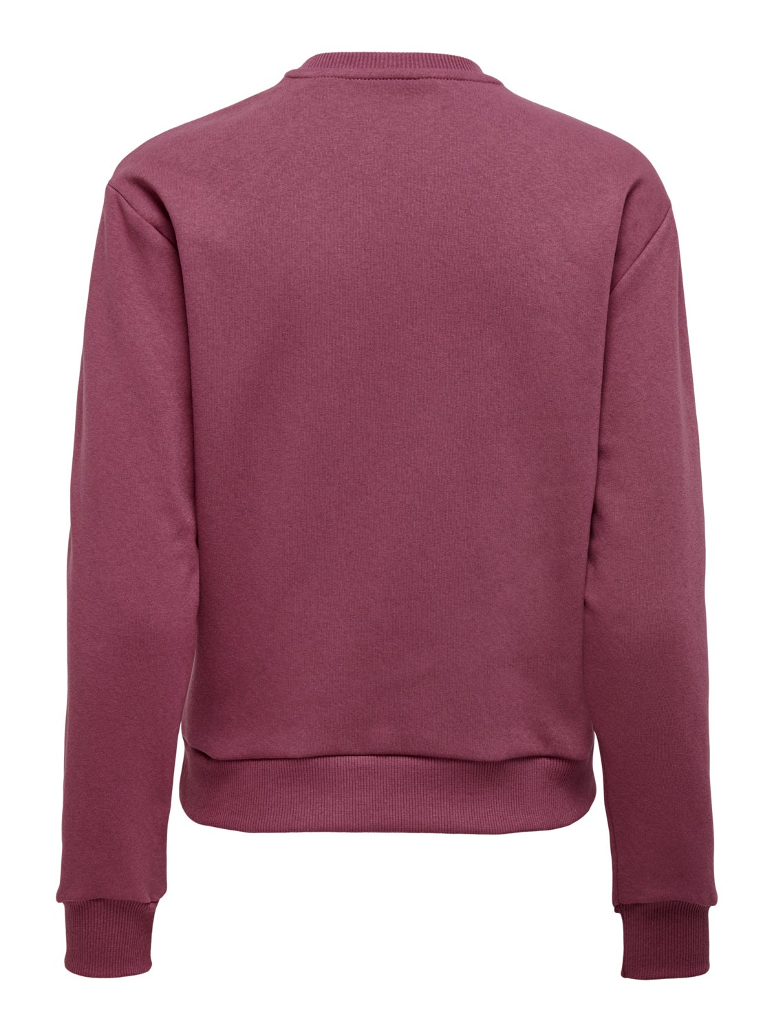 Long sleeved Sweatshirt