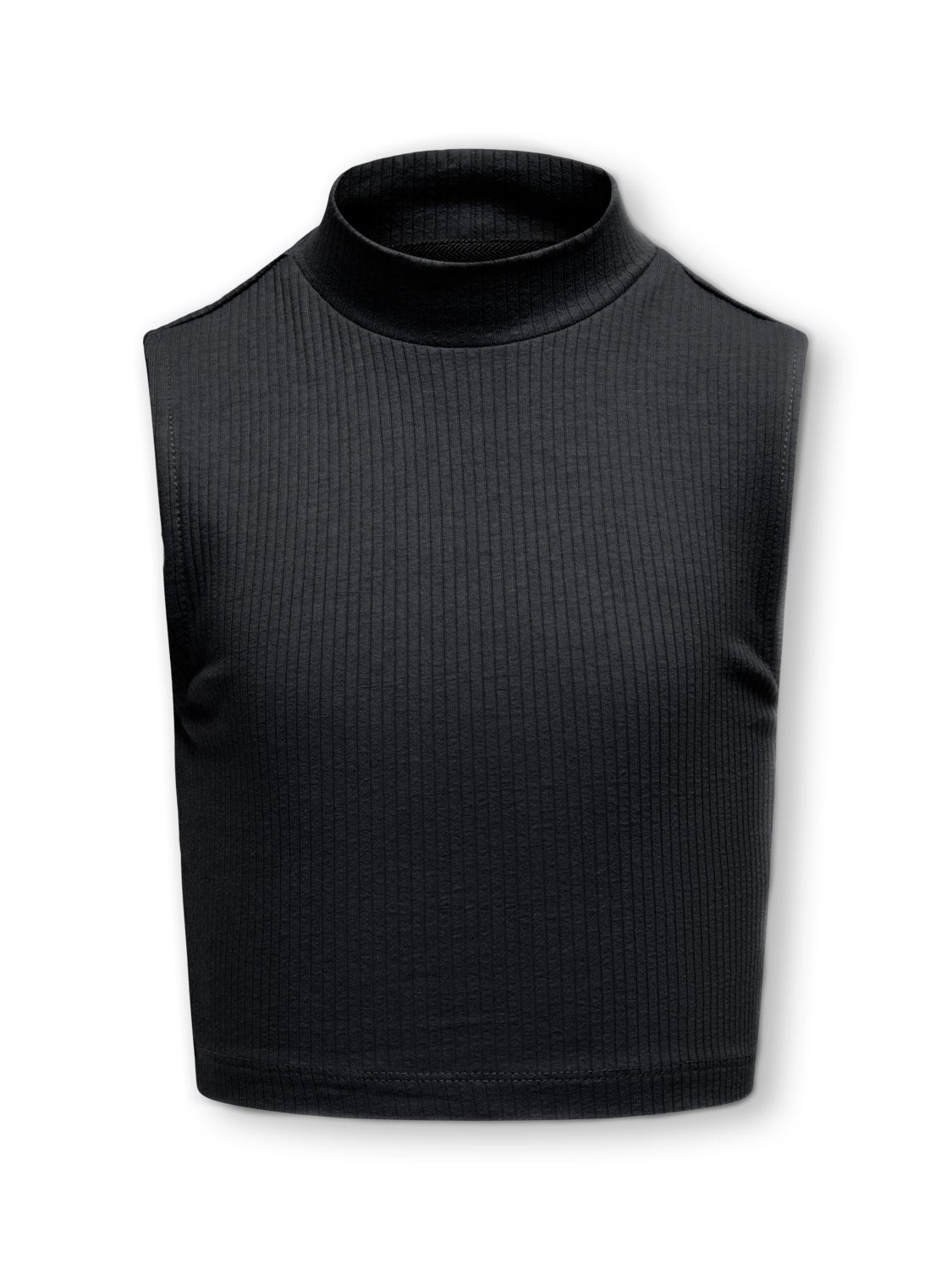 Cropped High Neck Top