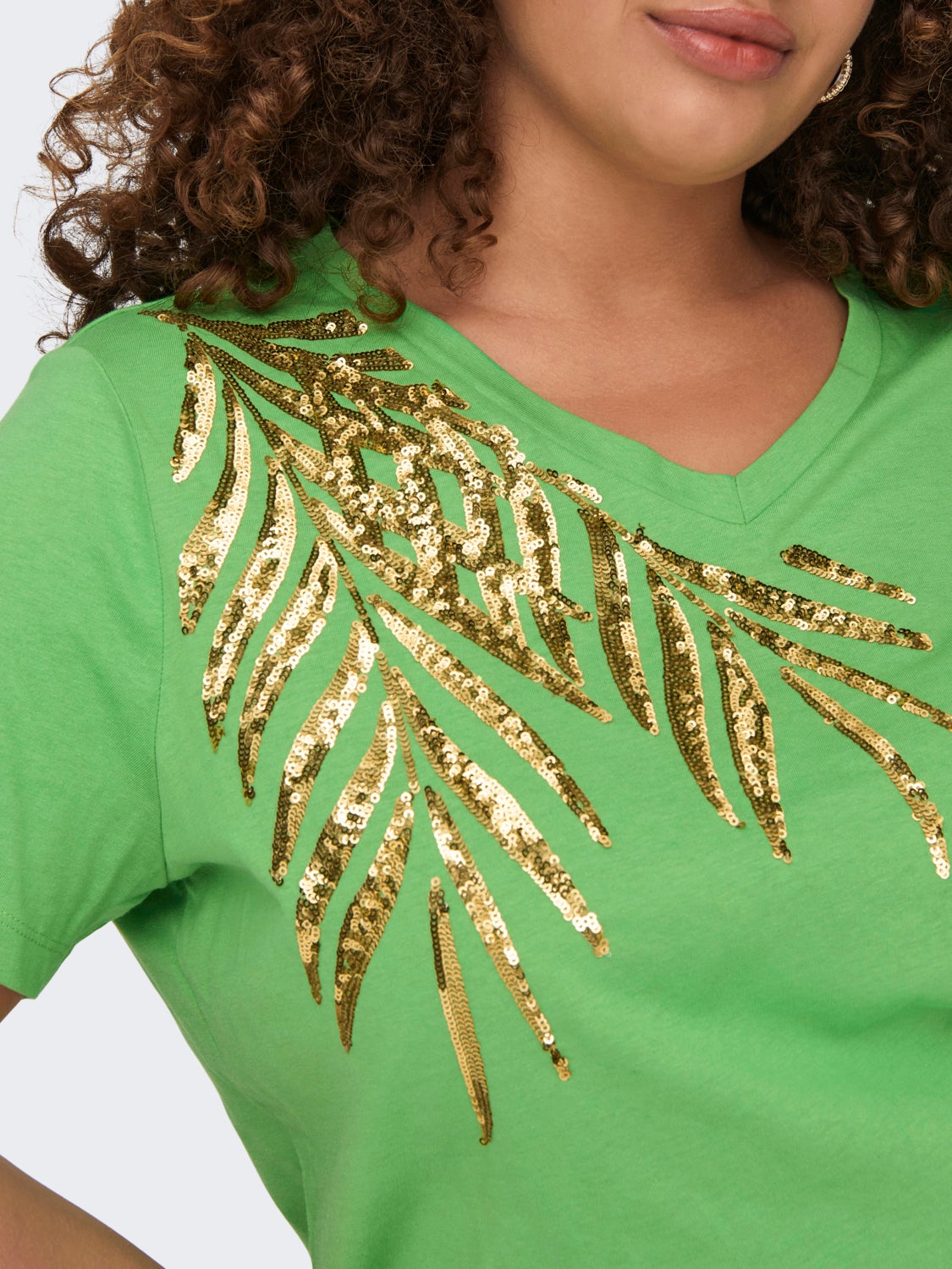 Regular Fit V-Neck T-Shirt