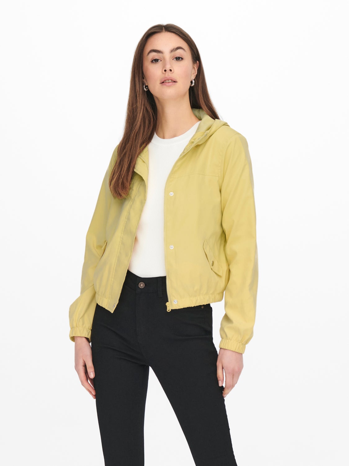 Solid colored Jacket