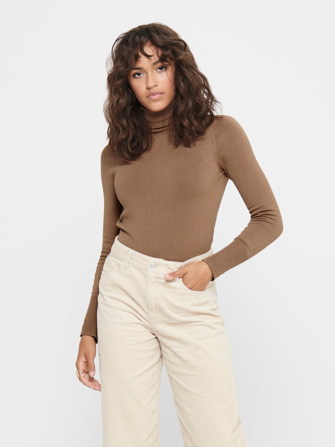 Rollneck Knitted Pullover