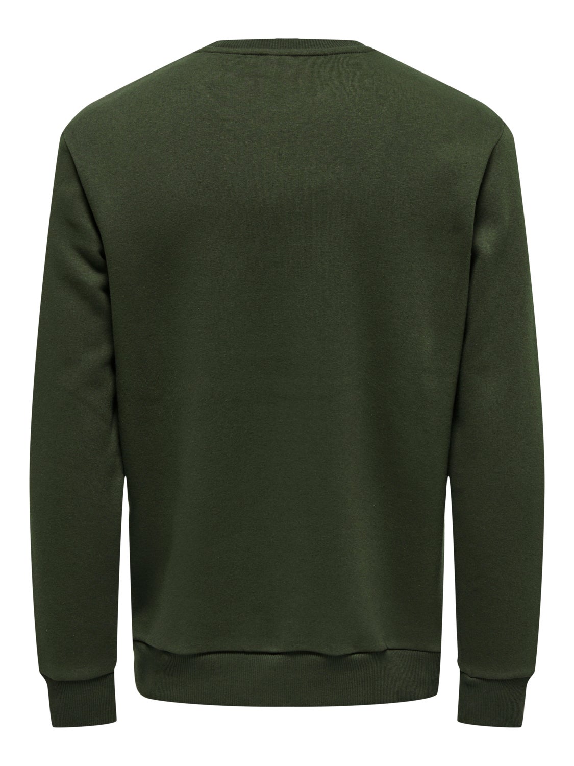 Regular Fit O-Neck Sweatshirt