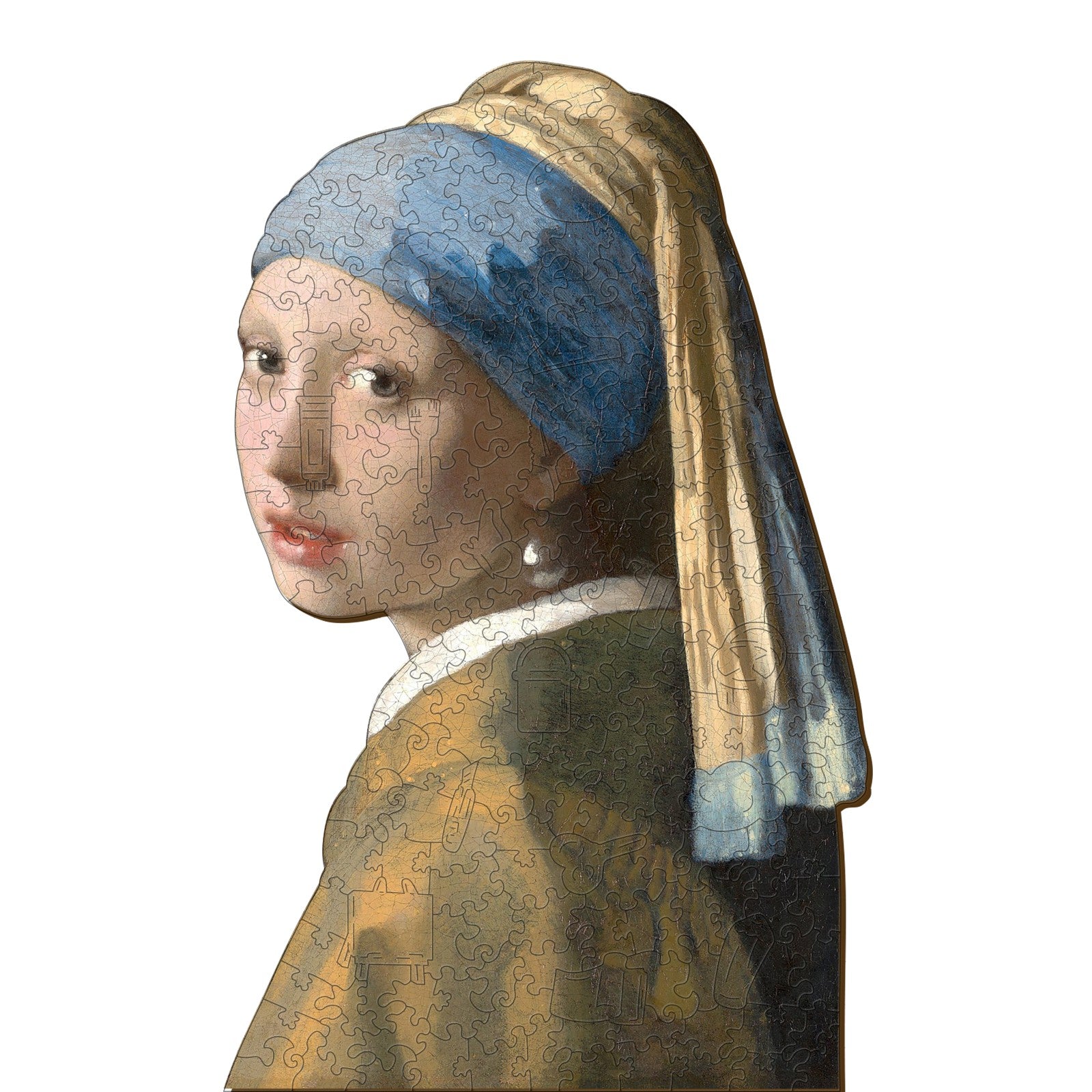 Vermeer's Girl with a Pearl Earring