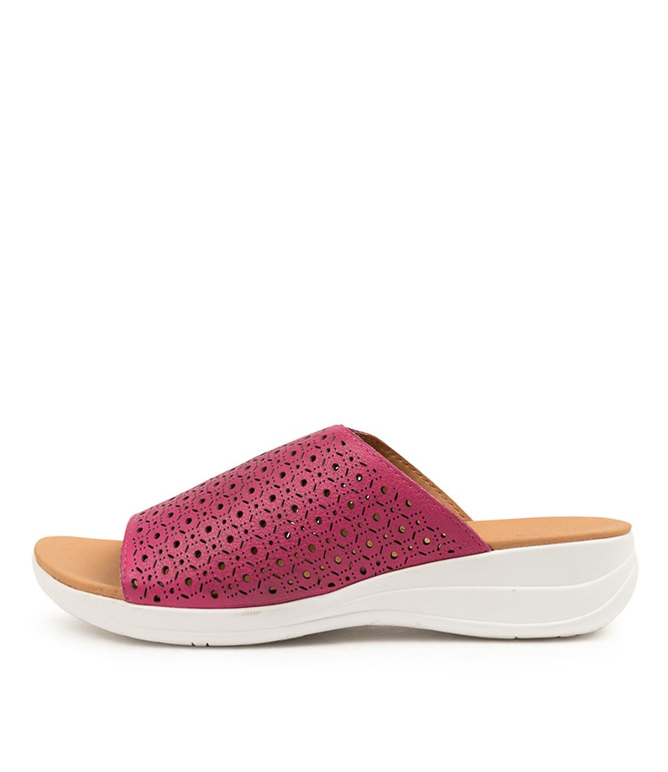 MENZIE DK FUCHSIA-WHT SO