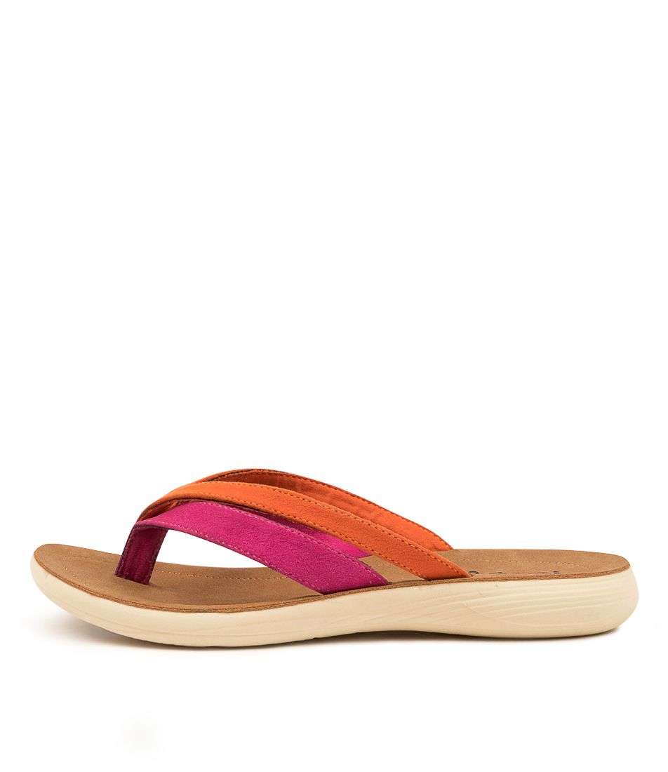 CATLEN FUCHSIA-ORAN MICRO