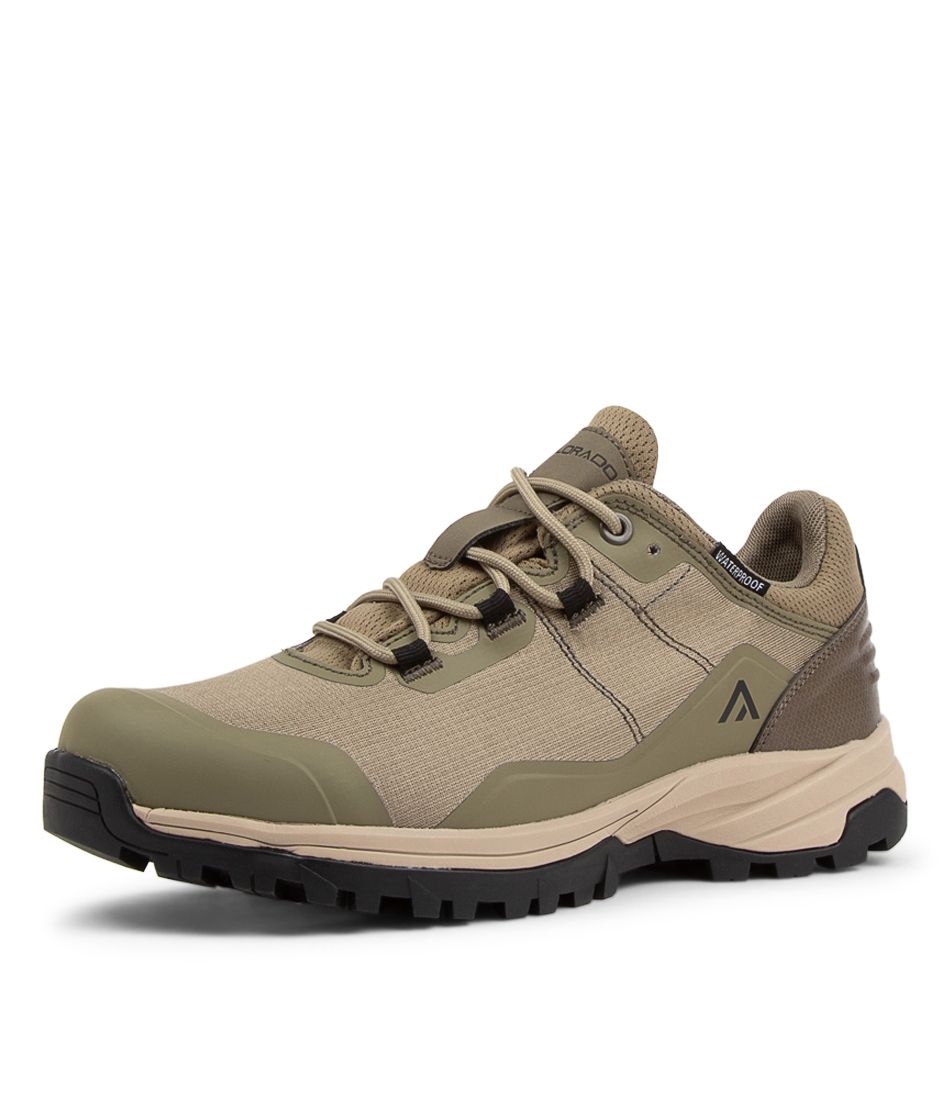 Qash Olive Multi Sneakers