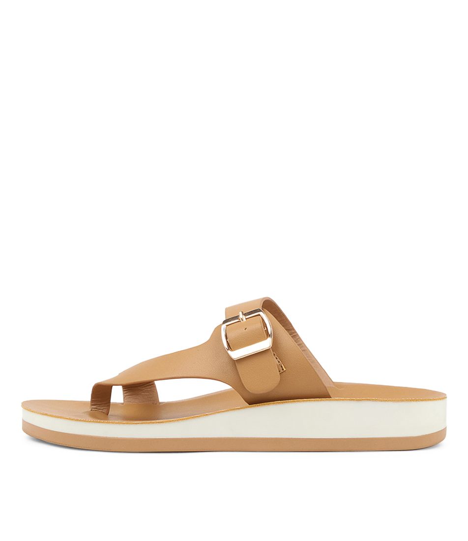 Fernie Camel Slides