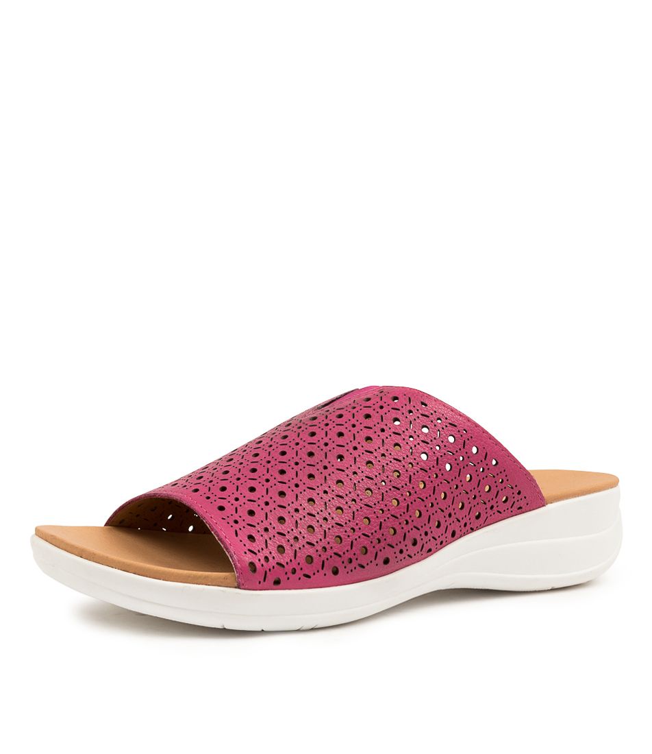 MENZIE DK FUCHSIA-WHT SO