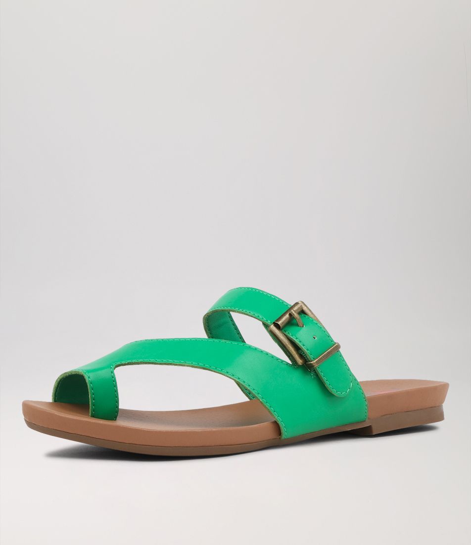 Solanta Green Slides