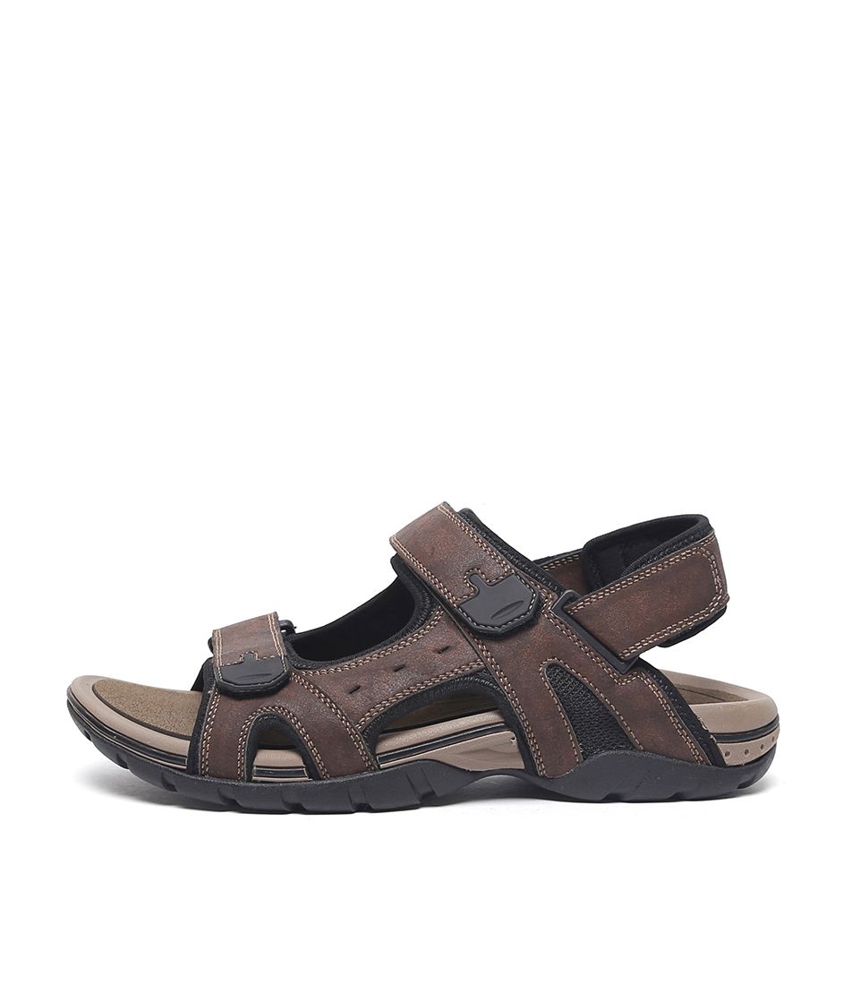 PERRY-S3 BROWN SMOOTH