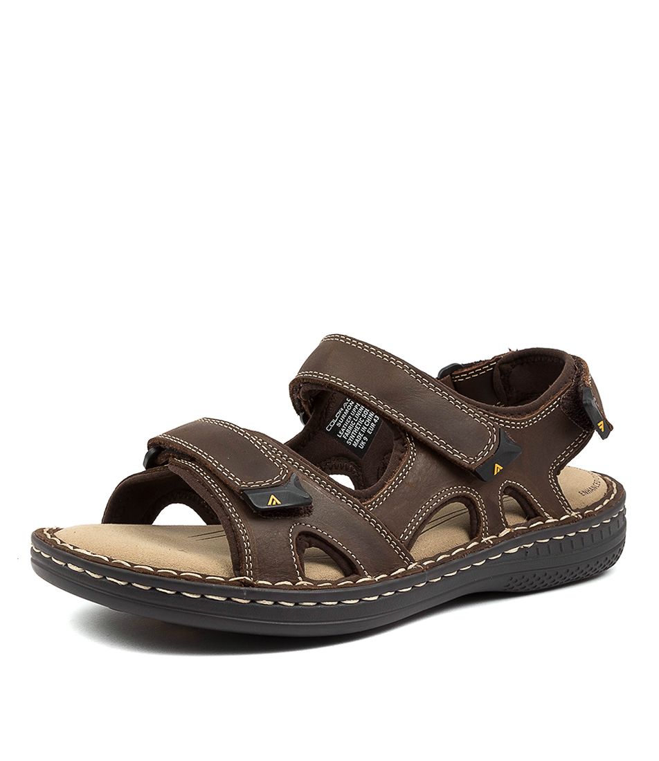 SURMON BROWN CRAZYHORSE