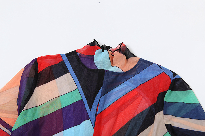 Women Winter Trend Multi-Color Printed Half-High Neck Long Sleeve Mesh Dress