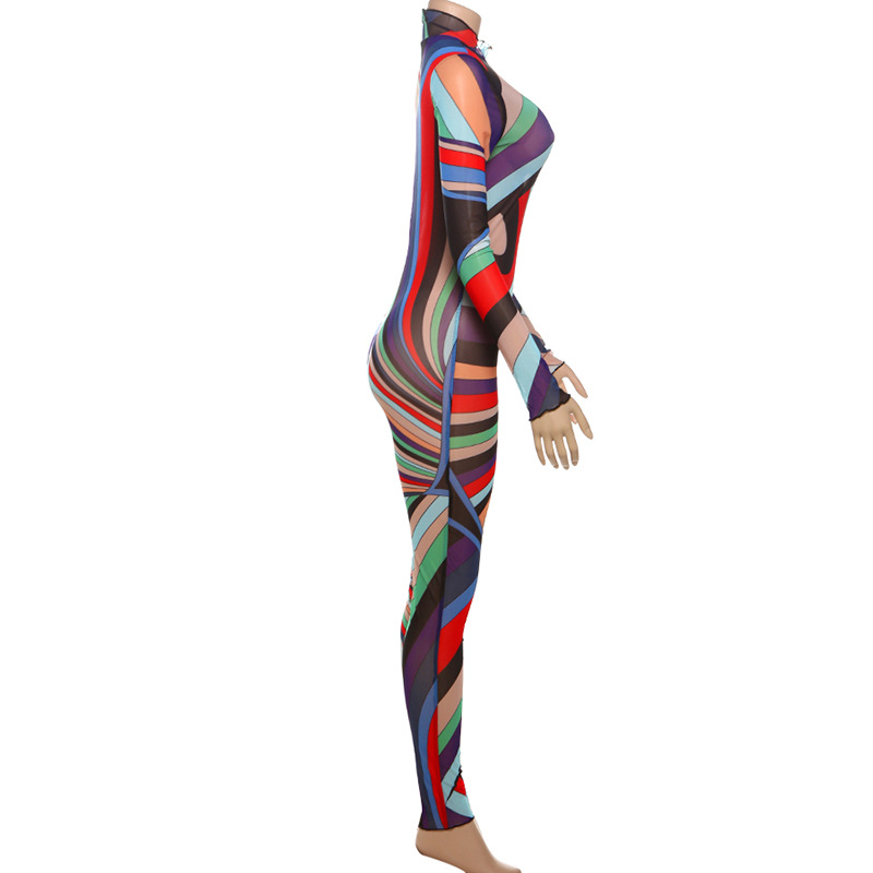 Women Winter Trend Multi-Color Printed Half-High Neck Long Sleeve Mesh Dress