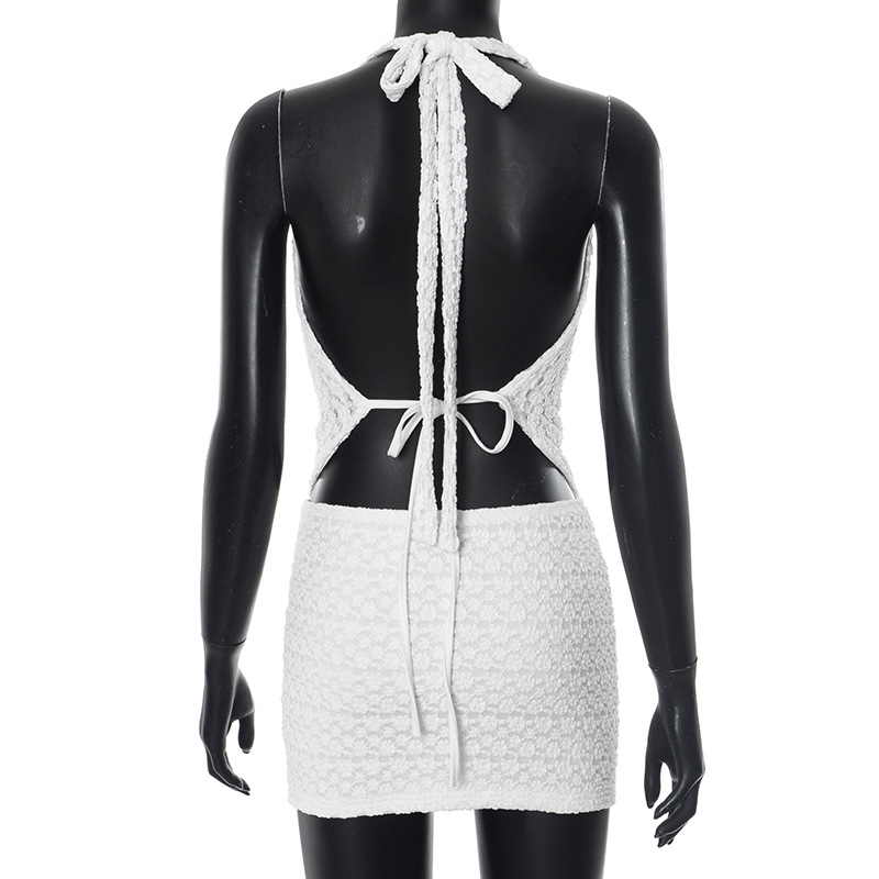 Women Spring and Summer Halter Neck Backless Top and Skirt Two-Piece Set