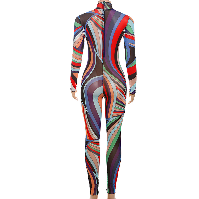 Women Winter Trend Multi-Color Printed Half-High Neck Long Sleeve Mesh Dress