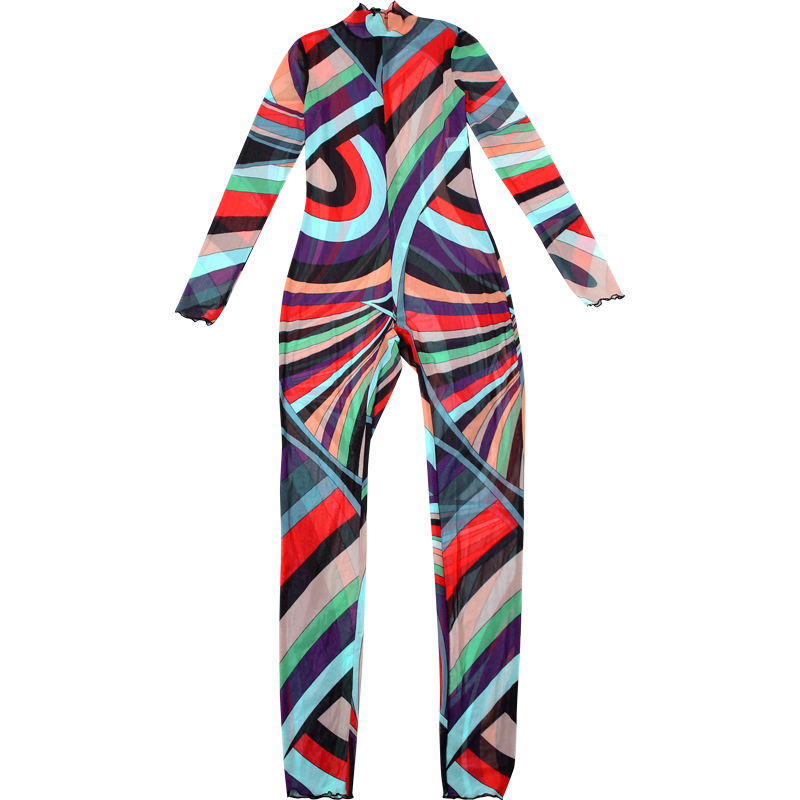 Women Winter Trend Multi-Color Printed Half-High Neck Long Sleeve Mesh Dress