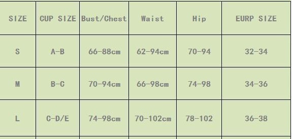 Women Sexy Swimwear  Leopard Print Lace Holidays One-Piece Swimwear