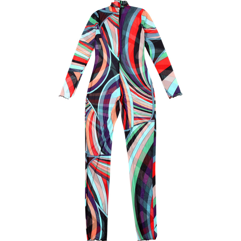 Women Winter Trend Multi-Color Printed Half-High Neck Long Sleeve Mesh Dress