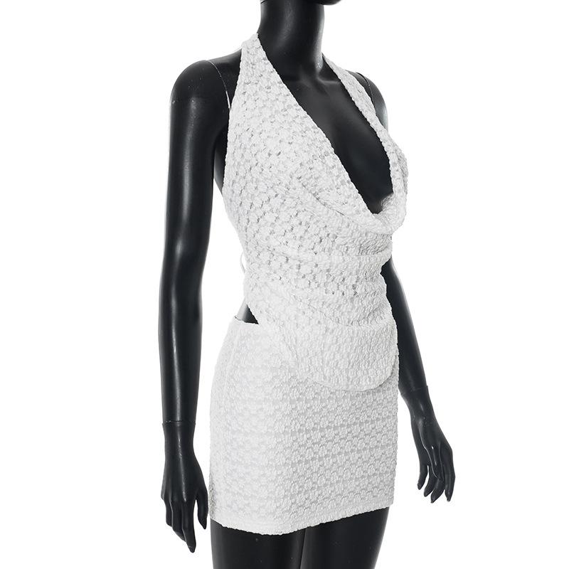 Women Spring and Summer Halter Neck Backless Top and Skirt Two-Piece Set