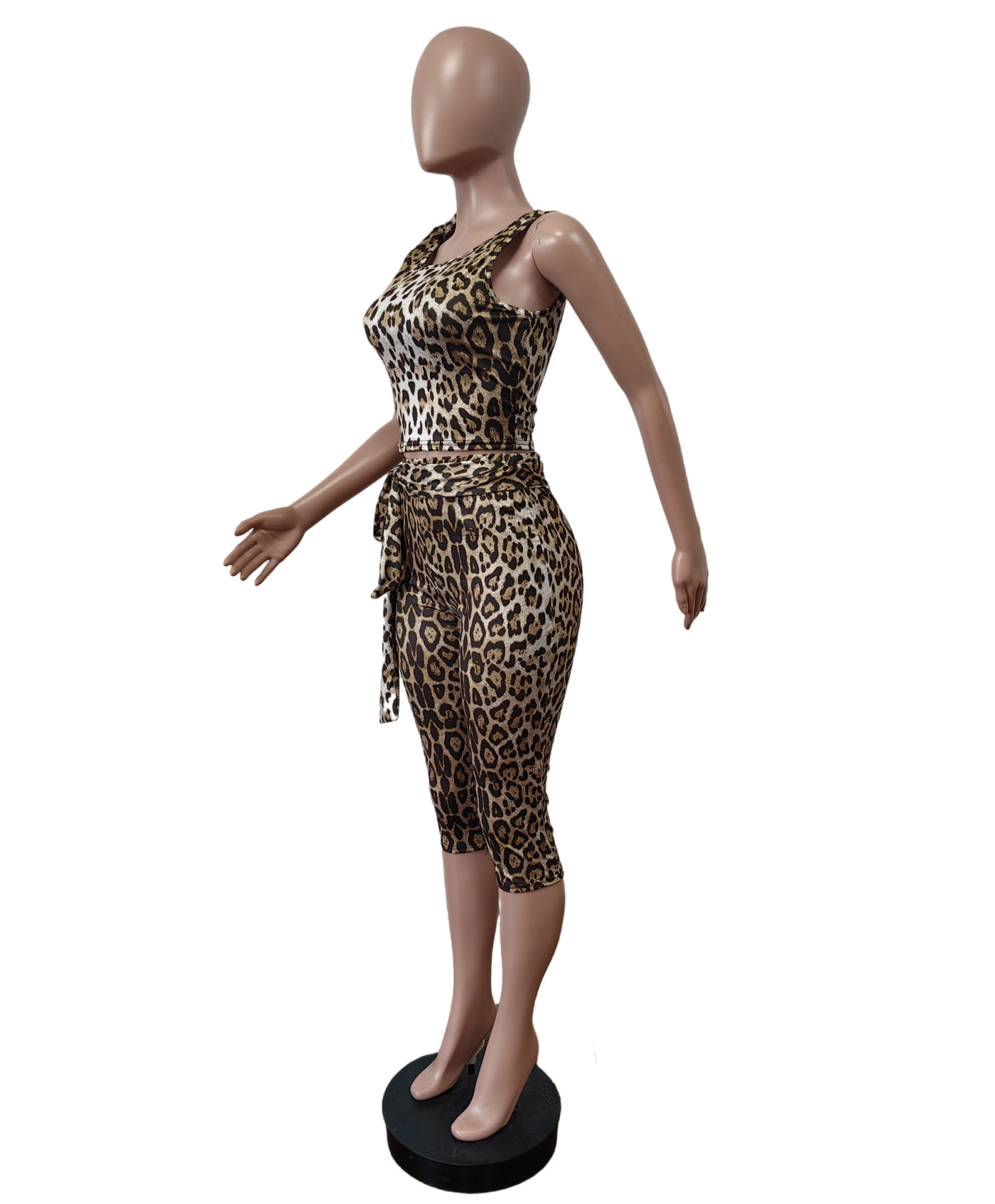 Leopard Printed Lace-Up Cropped Top Pants Two Piece Set
