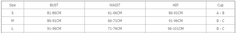 Women Sexy Hollow One-Shoulder One-Piece Swimwear Two Piece Set