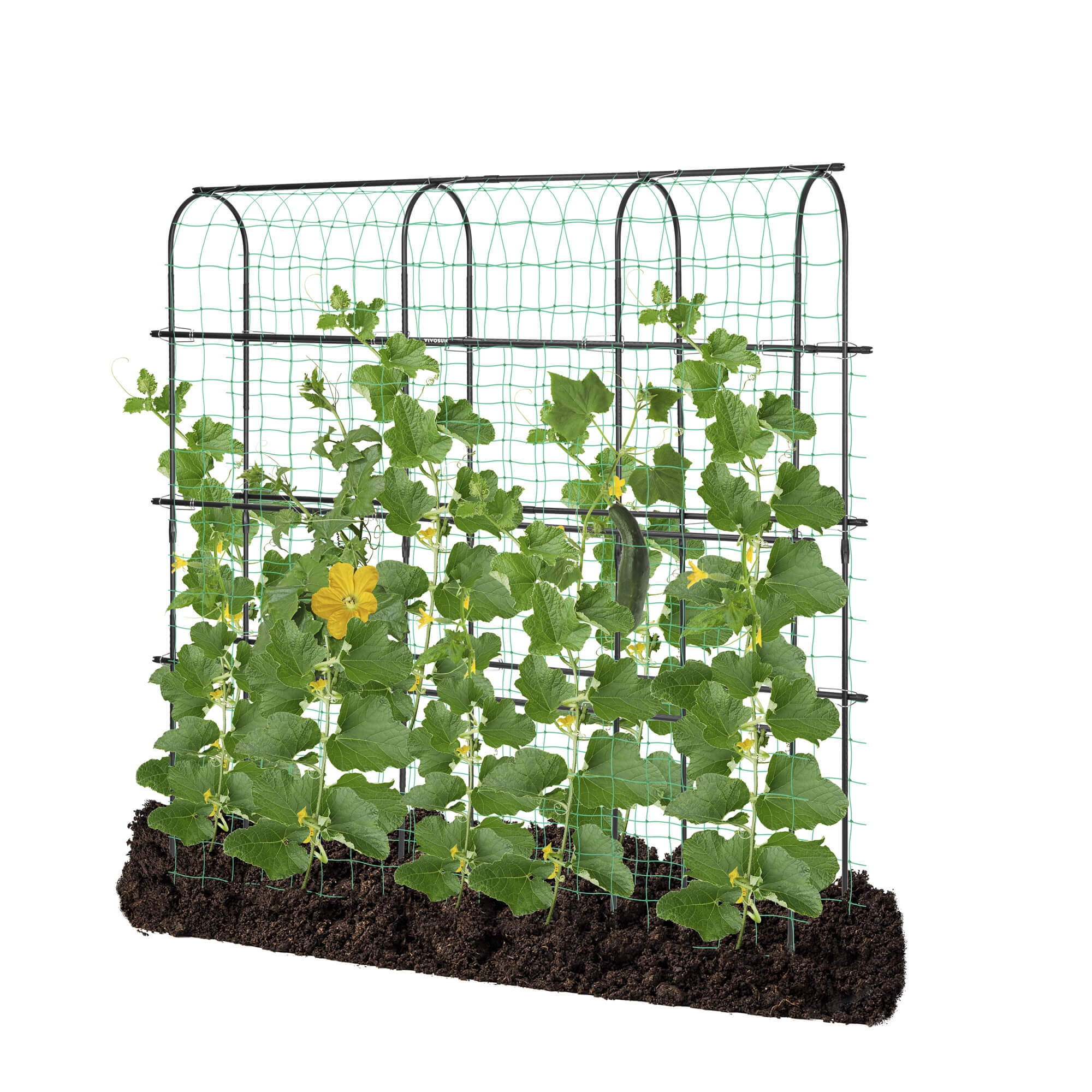 Arch Trellis for Climbing Plants, 7Ft., Black