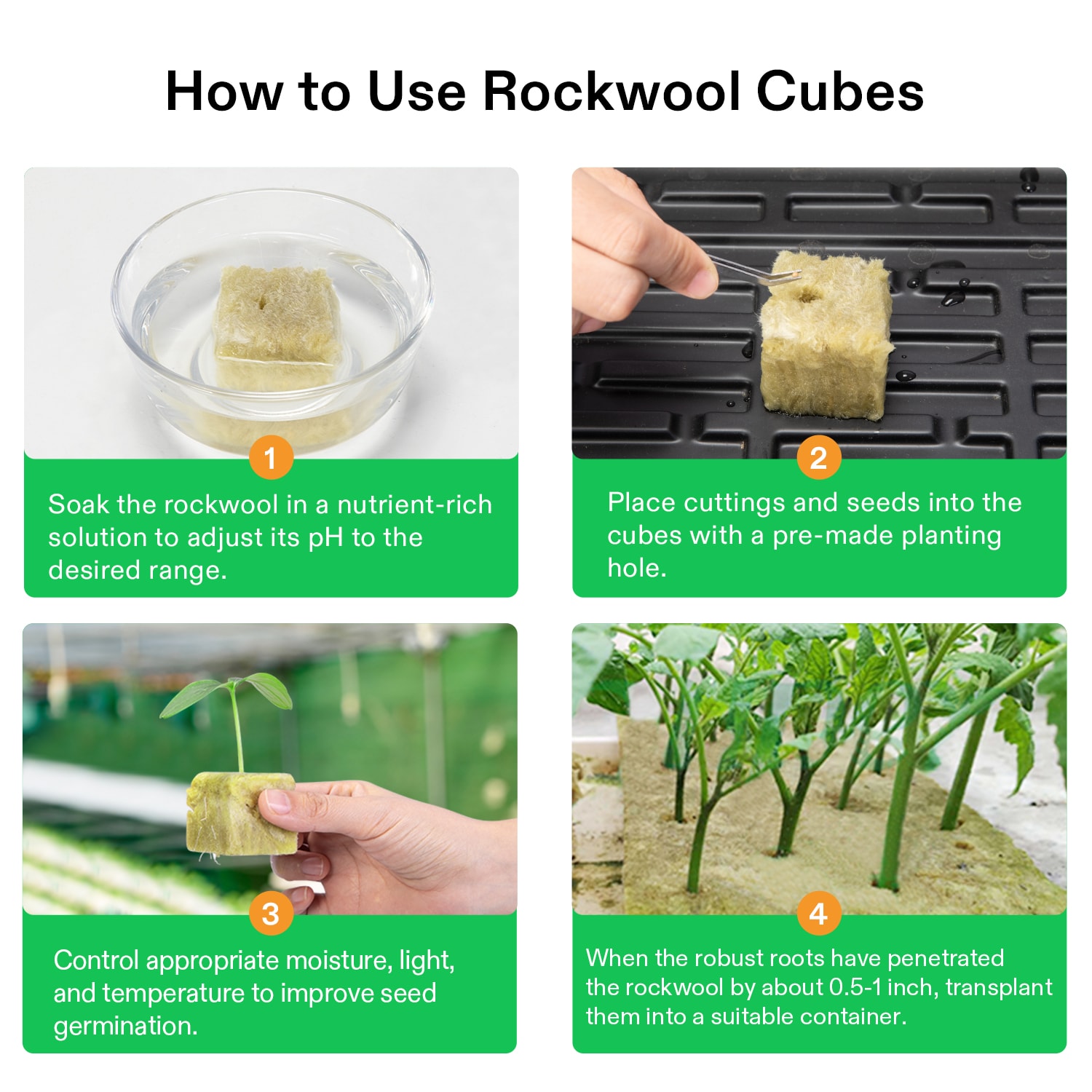 1.6" Rockwool Grow Cubes, 4 Sheets of 112 Plugs
