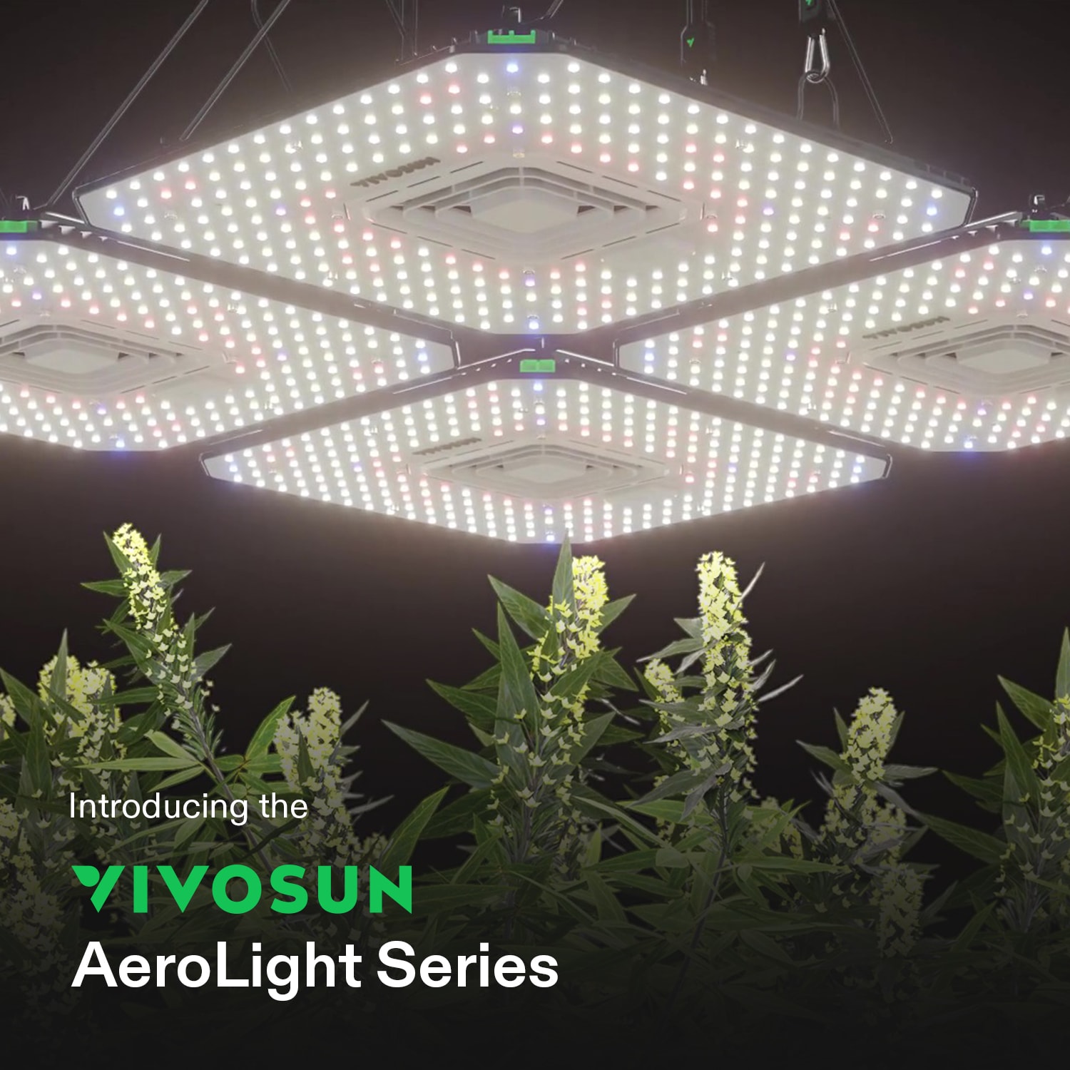 VIVOSUN Smart Grow System with AeroLight 100W LED Grow Light and GrowHub Controller