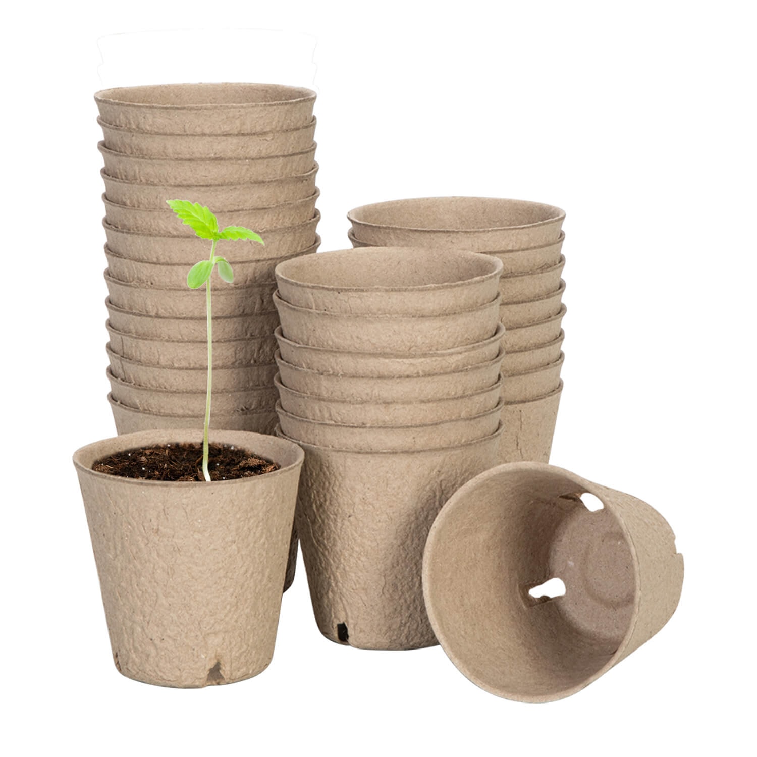 Peat Pots, 60 Packs 3.15-Inch Seed Starting Pots with Drainage Holes