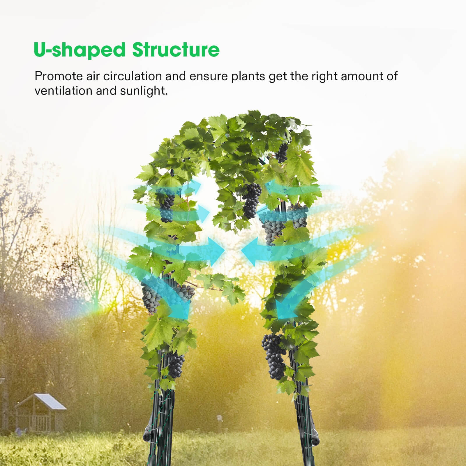 Arch Trellis for Climbing Plants, 7Ft., Black