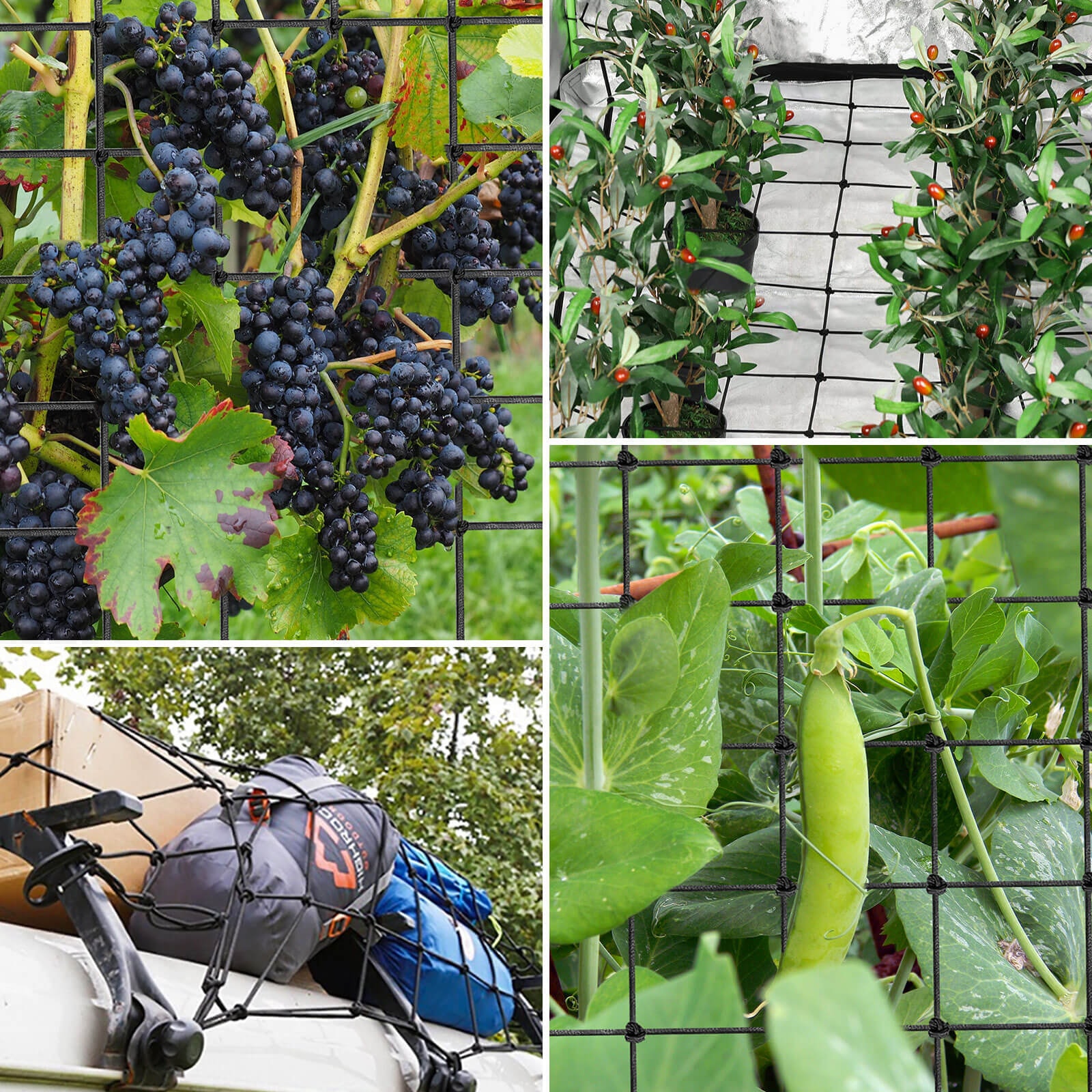 3 x 3Ft. Elastic Trellis Netting with 4 Hooks