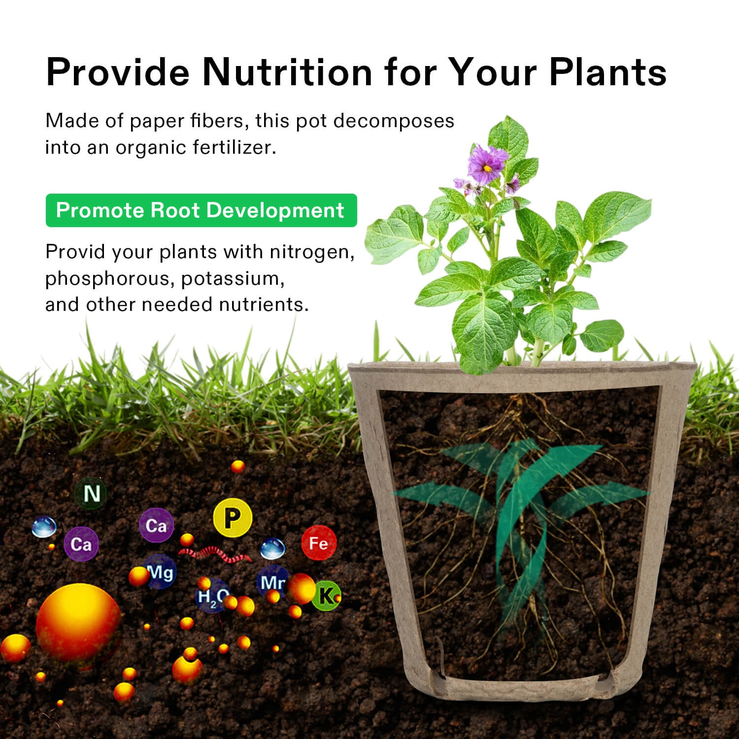 Peat Pots, 60 Packs 3.15-Inch Seed Starting Pots with Drainage Holes