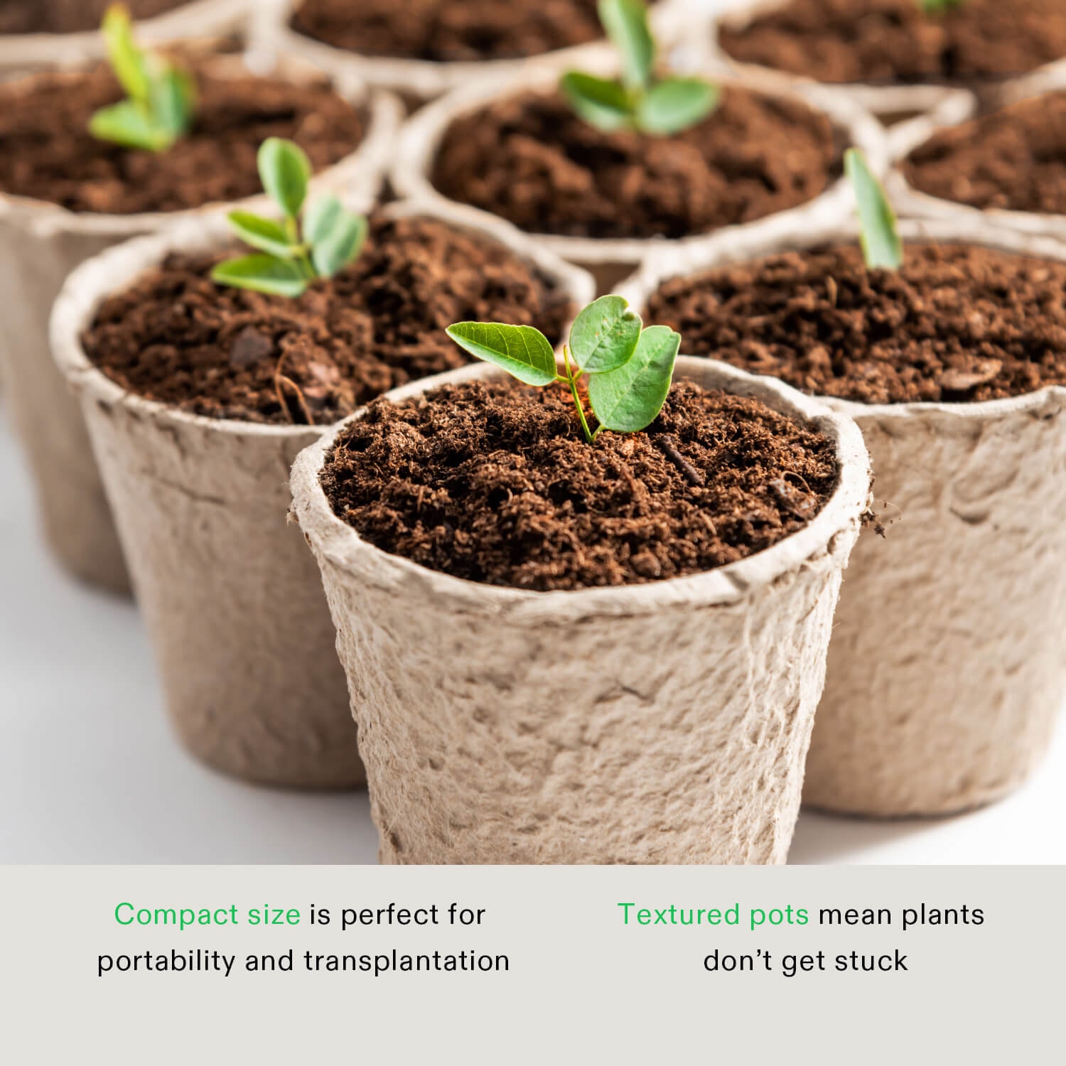 Peat Pots, 60 Packs 3.15-Inch Seed Starting Pots with Drainage Holes