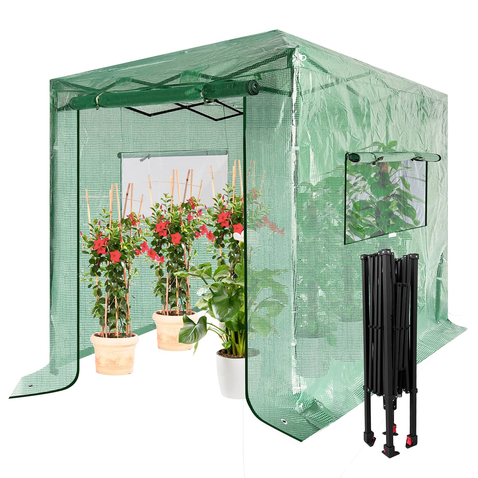 VIVOSUN 8'x6' Portable Walk-in Greenhouse with PE Cover, Instant Pop-up and Walk-in Folding, Roll-Up Zipper Entry Doors and 2-Side Viewing Windows, Easy Setup for Plants Outdoor