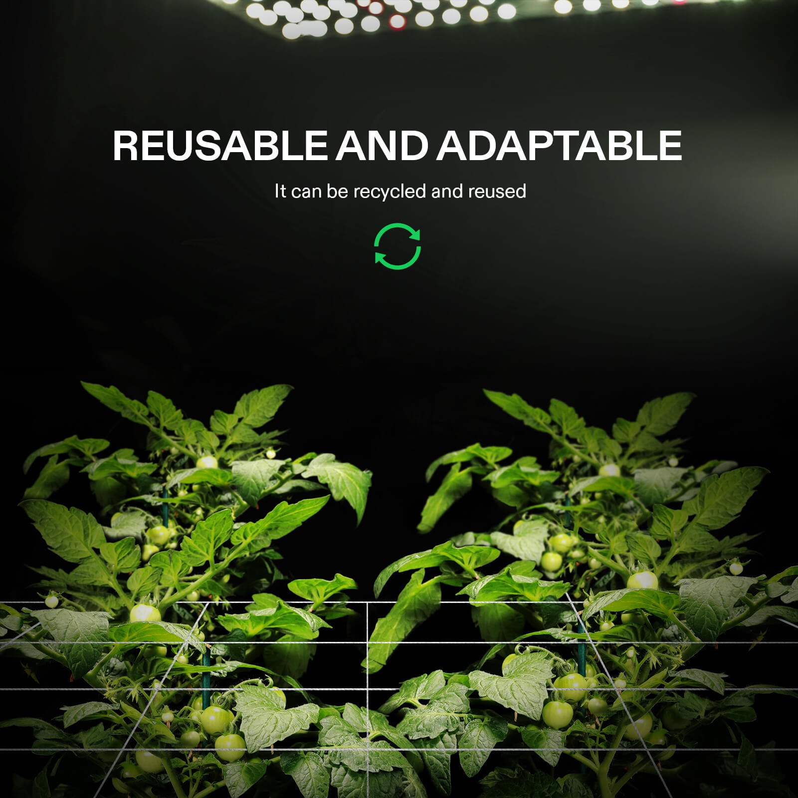 5 x 30 ft. Plant Trellis Netting, Heavy-Duty Polyester Grow Net w/ Square Mesh for Climbing Plants, Vegetables, Fruits, and Flowers, 1-Pack