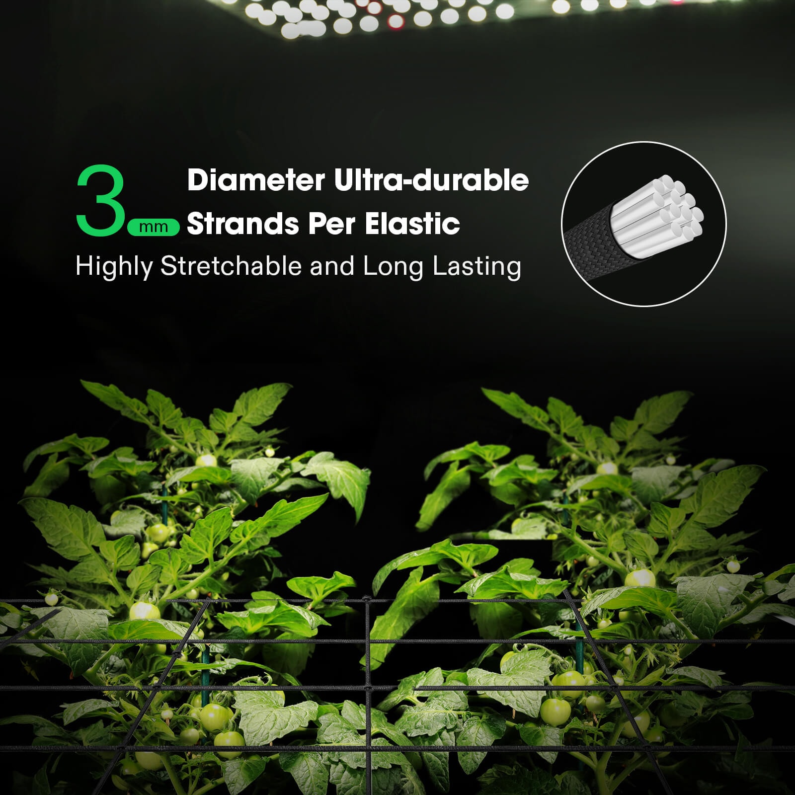 3 x 3Ft. Elastic Trellis Netting with 4 Hooks