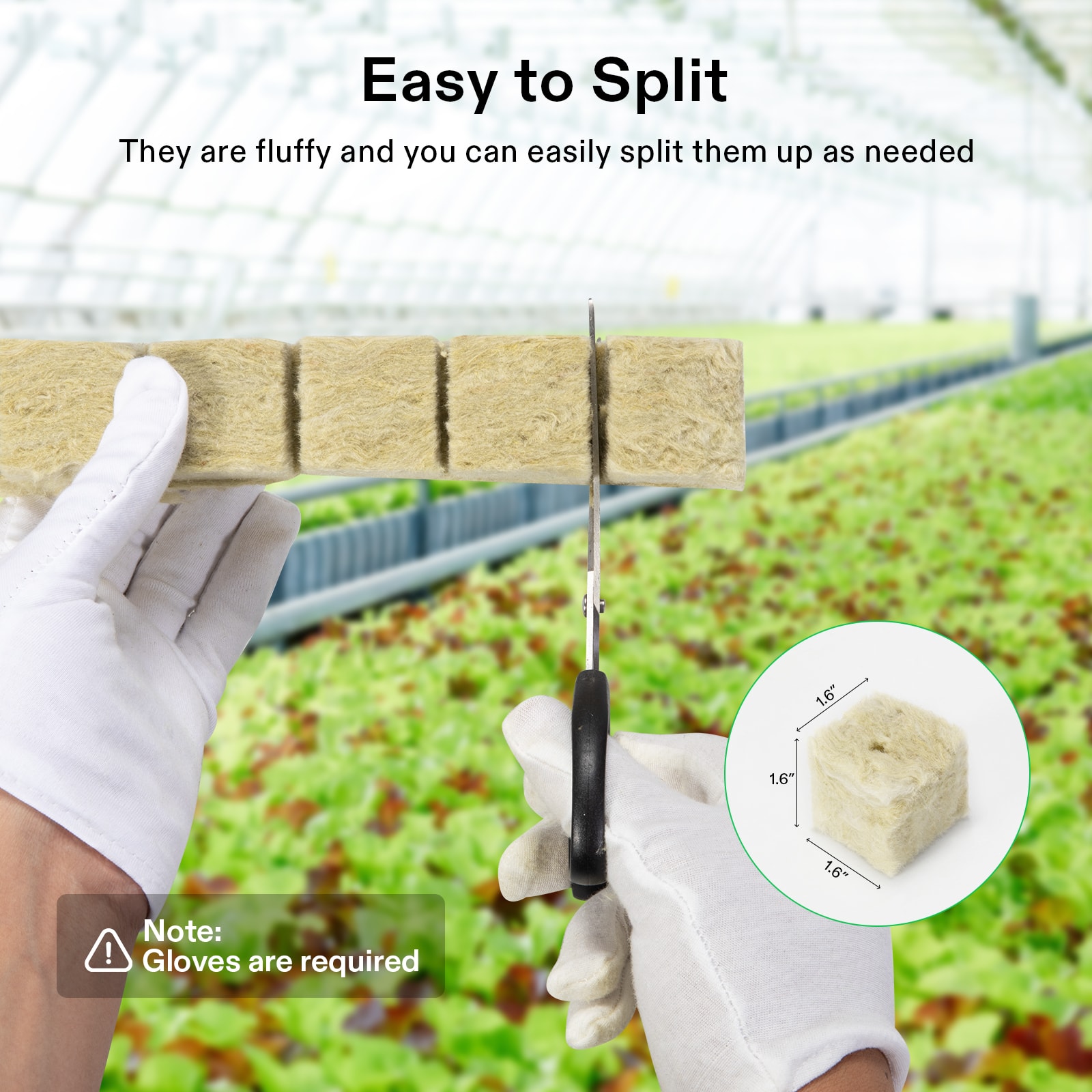 1.6" Rockwool Grow Cubes, 4 Sheets of 112 Plugs