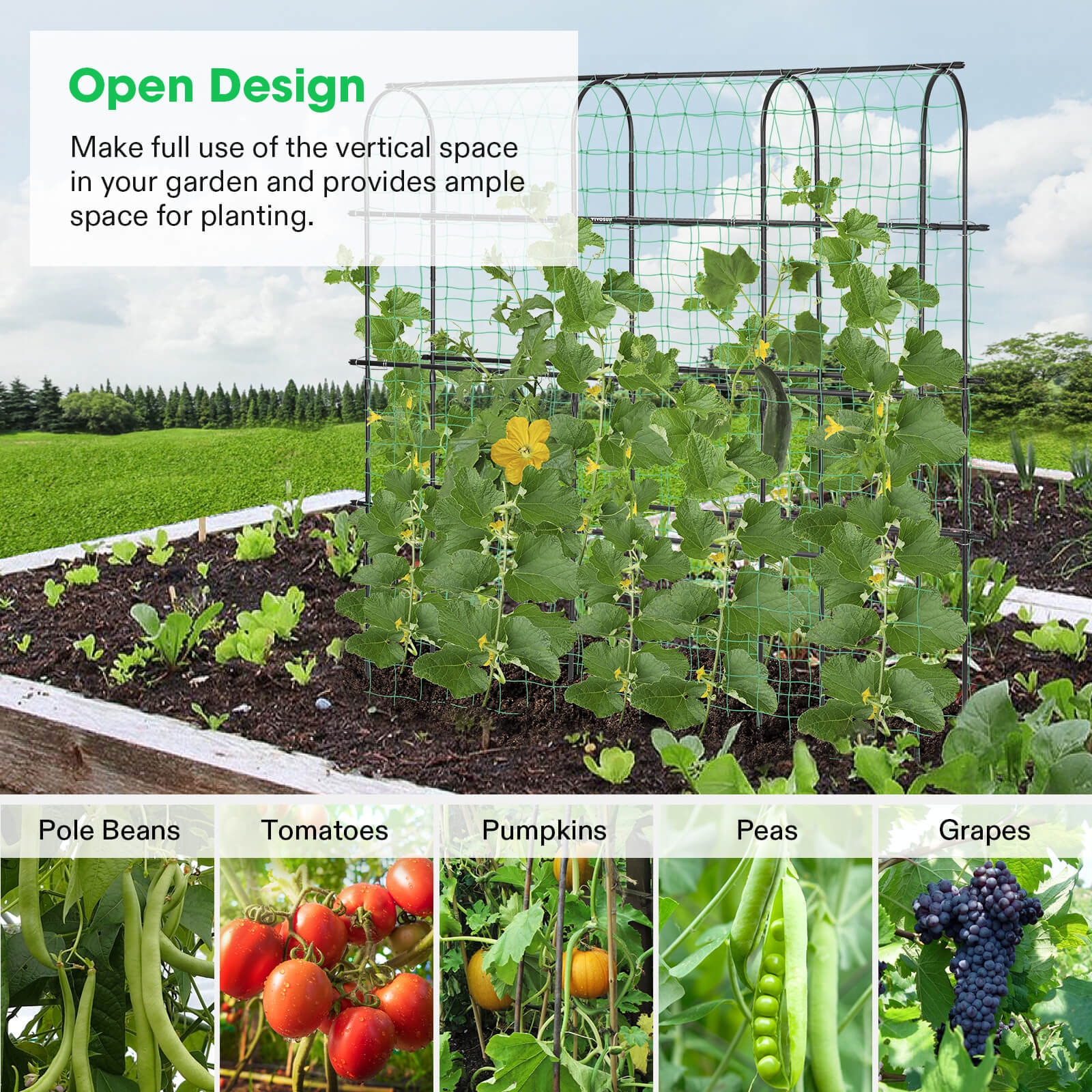 Arch Trellis for Climbing Plants, 7Ft., Black