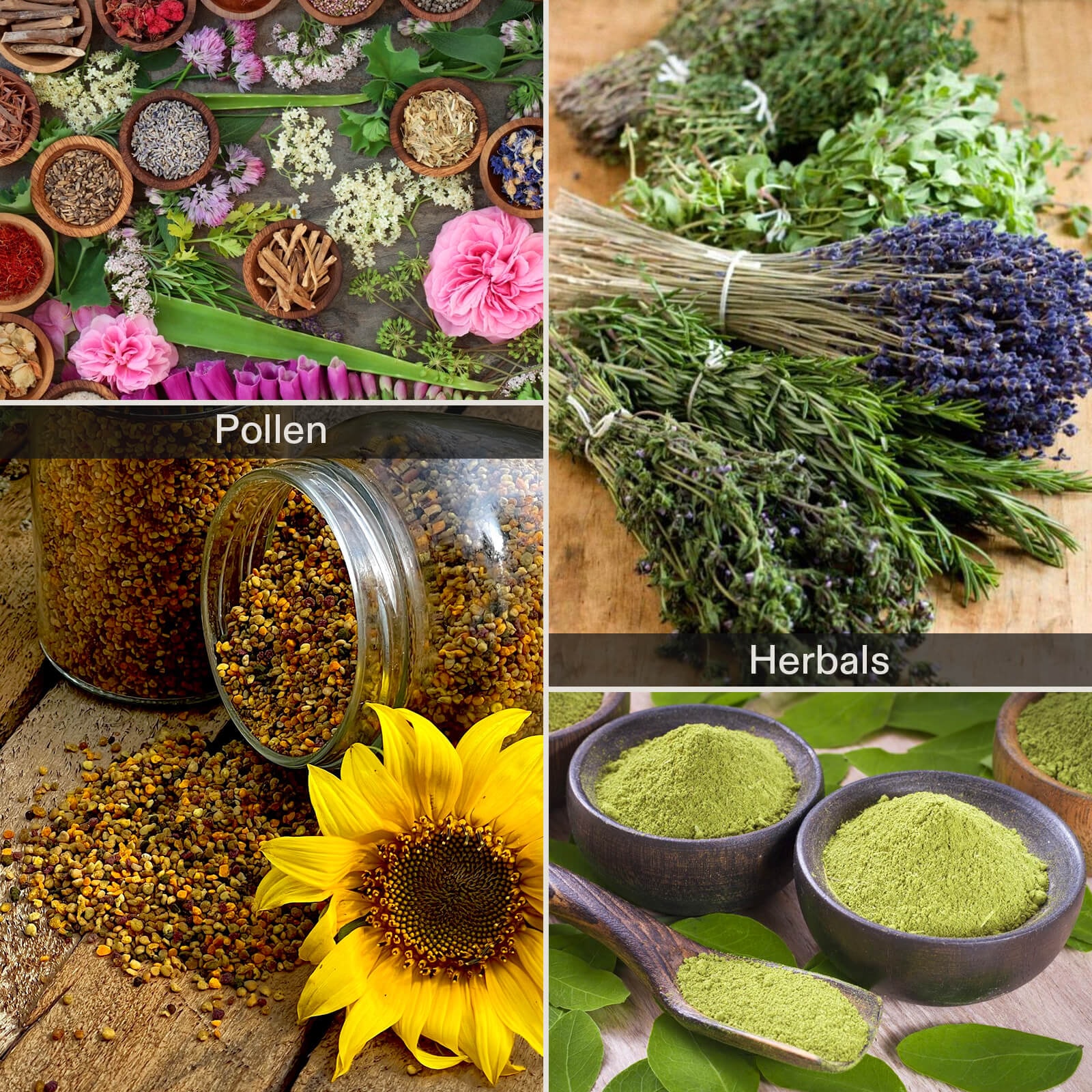 Herb Trimming Tray for Harvest, Orange