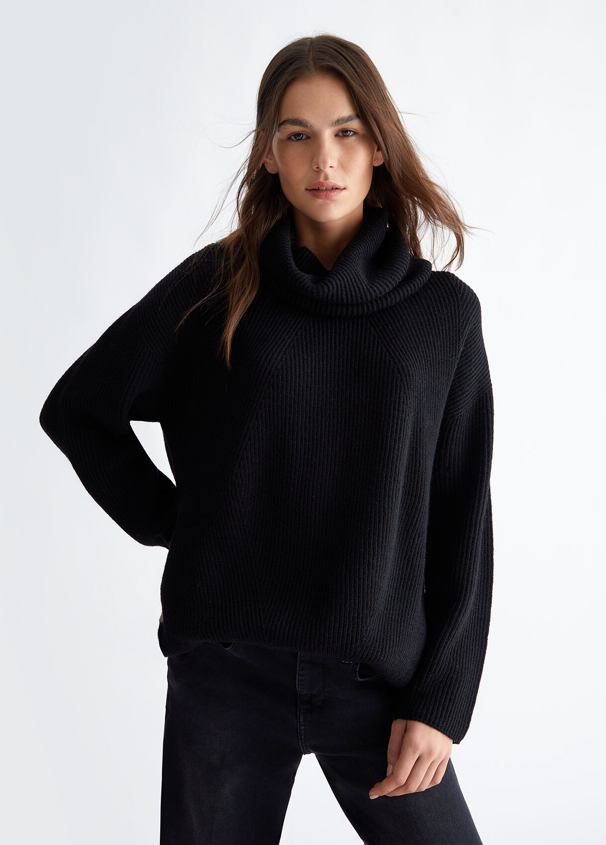 Turtleneck with detachable collar