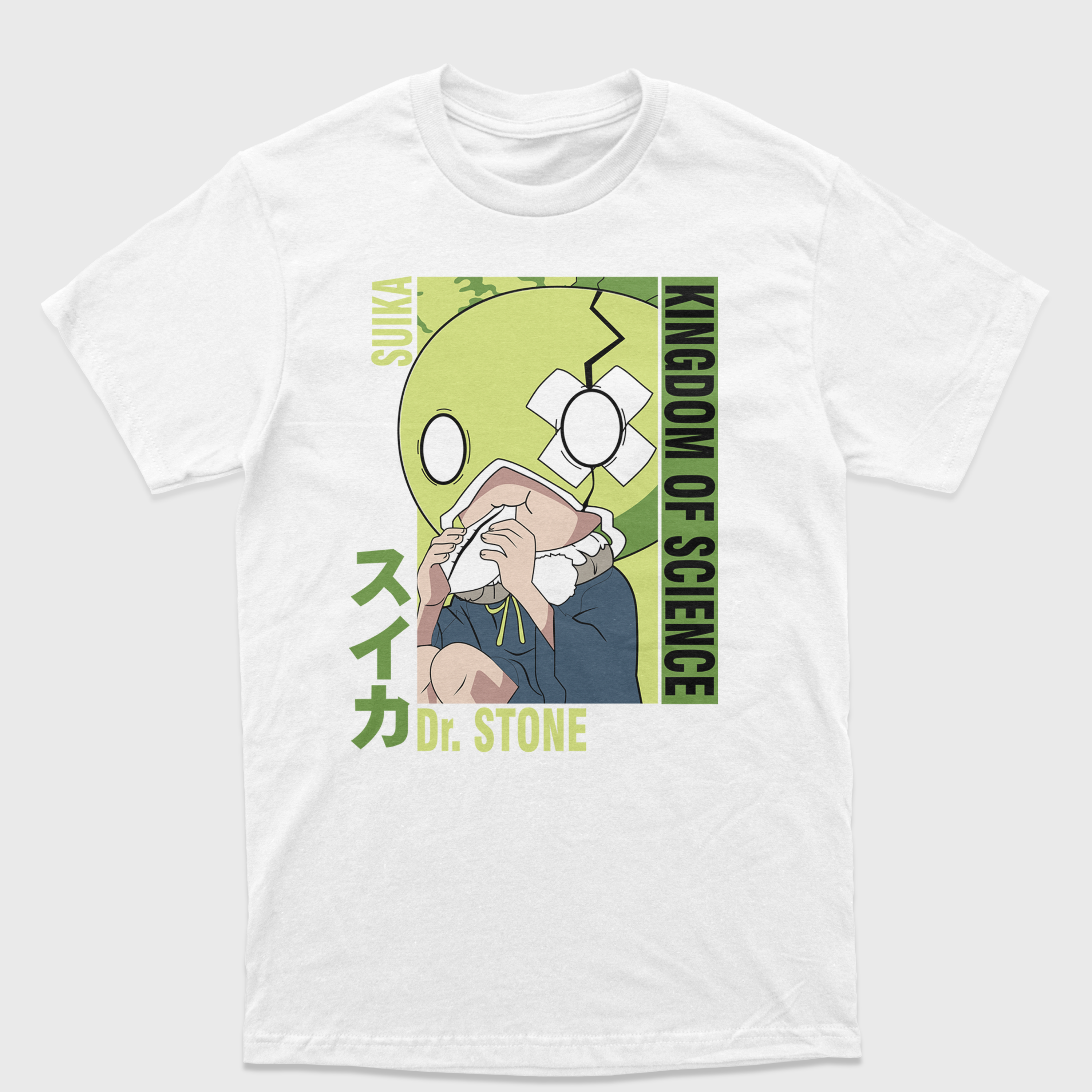 Camiseta Dr Stone Kingdom Of Science